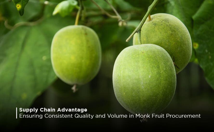 Supply Chain Advantage: Ensuring Consistent Quality and Volume in Monk Fruit Procurement
