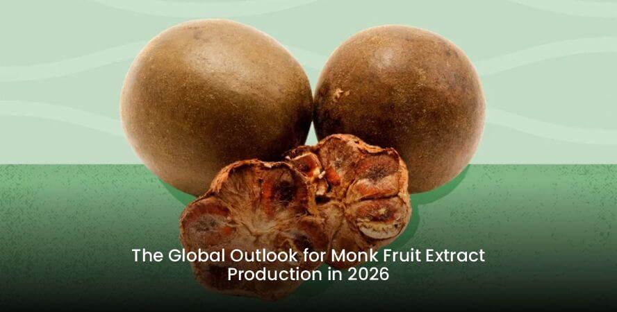 The Global Outlook for Monk Fruit Extract Production in 2026